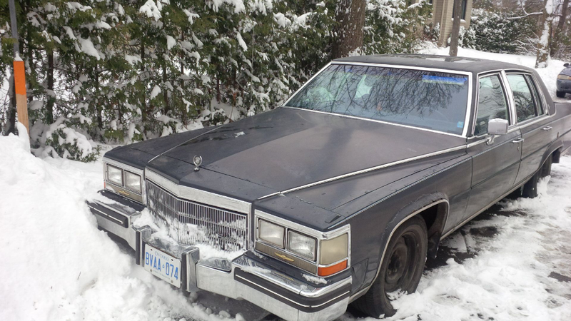 Illustration for article titled SPIED IN A SNOWBANK